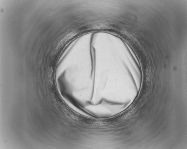 X0000057081265200510071836