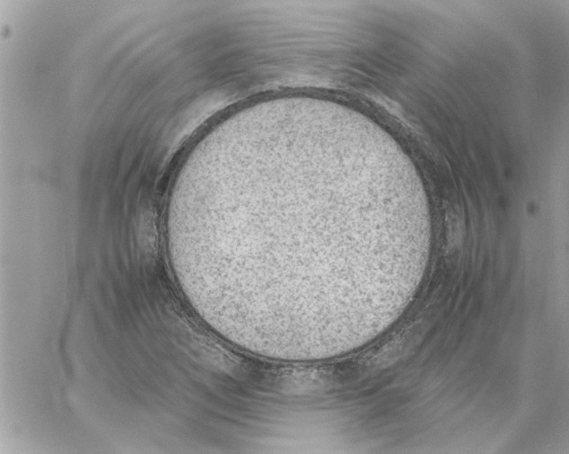 X0000057081266200510071836