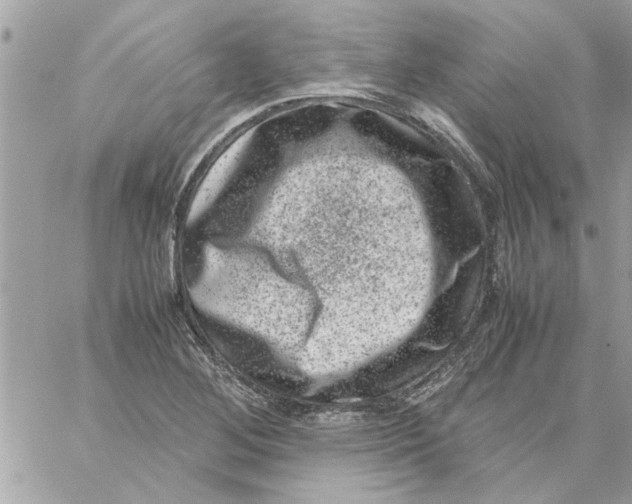 X0000057081268200510071836