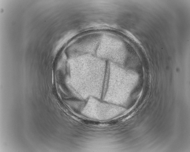 X0000057081269200510071836