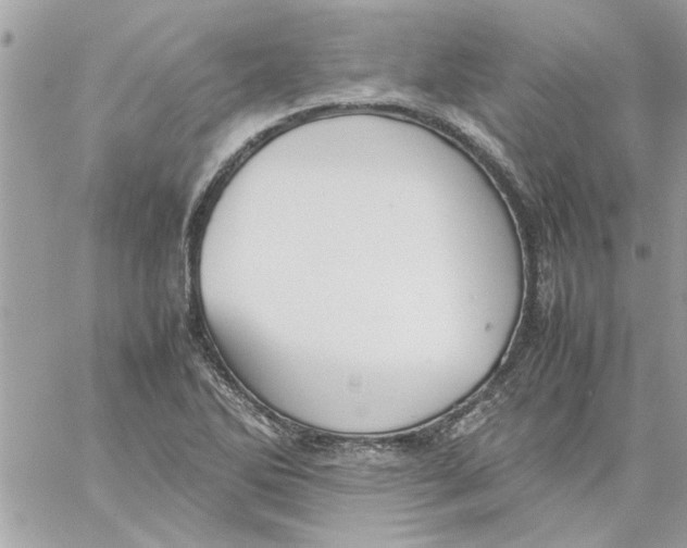 X0000057081270200510071836