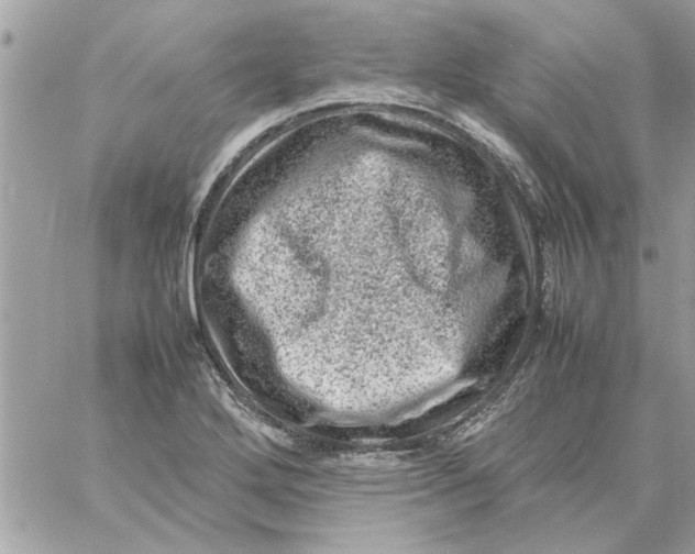 X0000057081272200510071836