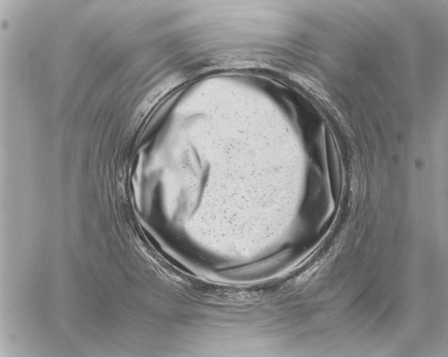 X0000057081273200510071836