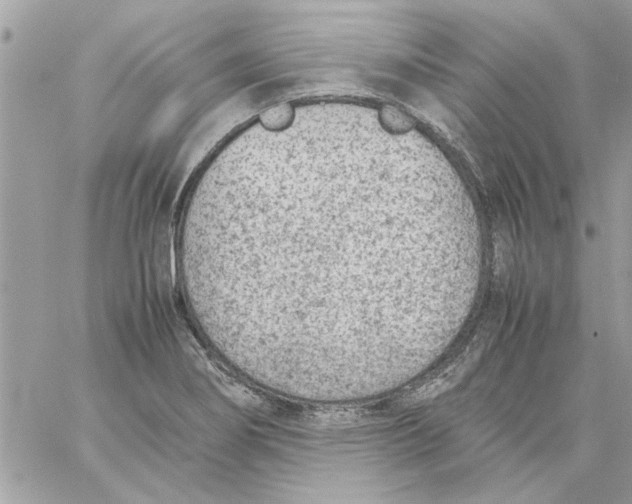 X0000057081274200510071836