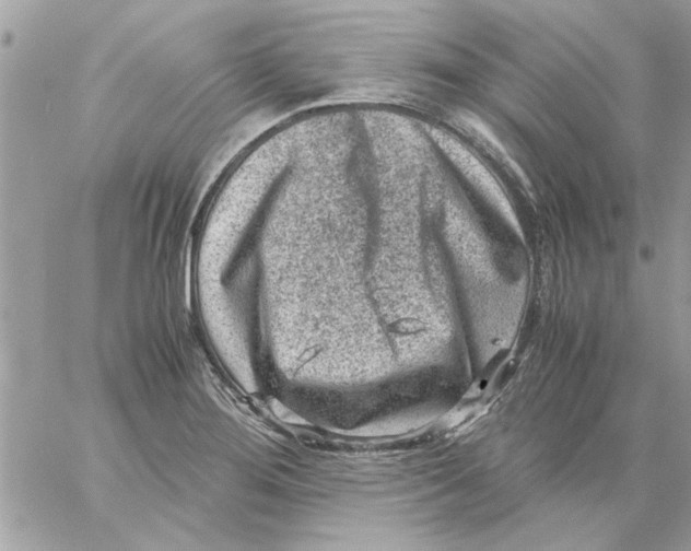 X0000057081276200510071836