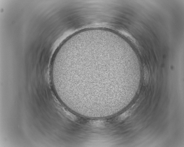 X0000057081278200510071836