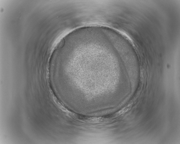 X0000057081279200510071836