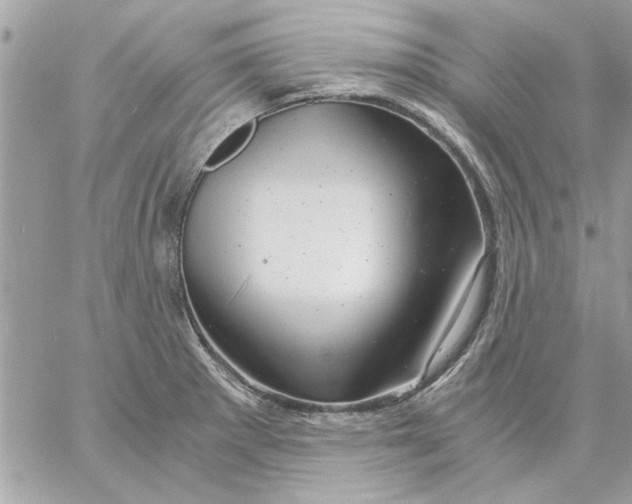 X0000057081281200510071836