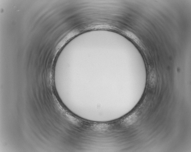 X0000057081282200510071836