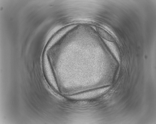 X0000057081283200510071836