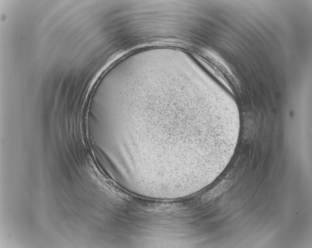 X0000057081284200510071836