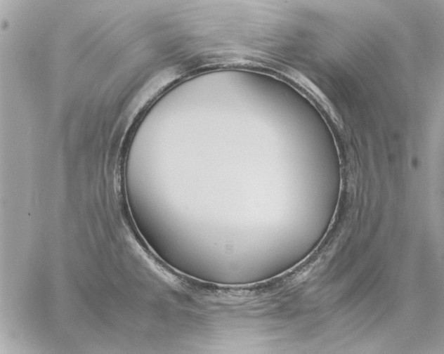 X0000057081285200510071836