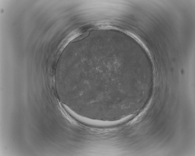 X0000057081289200510071836