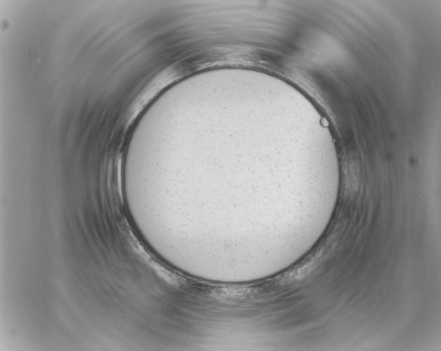 X0000057081290200510071835