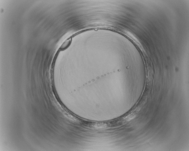 X0000057081291200510071835