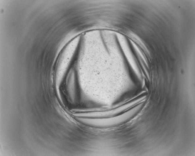 X0000057081292200510071835