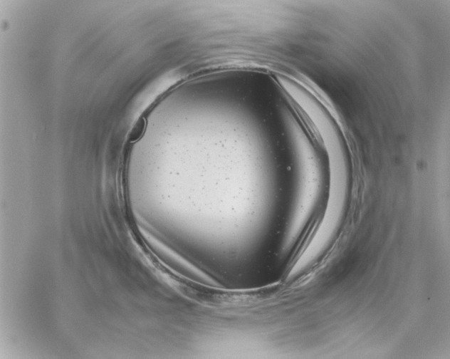 X0000057081293200510071835