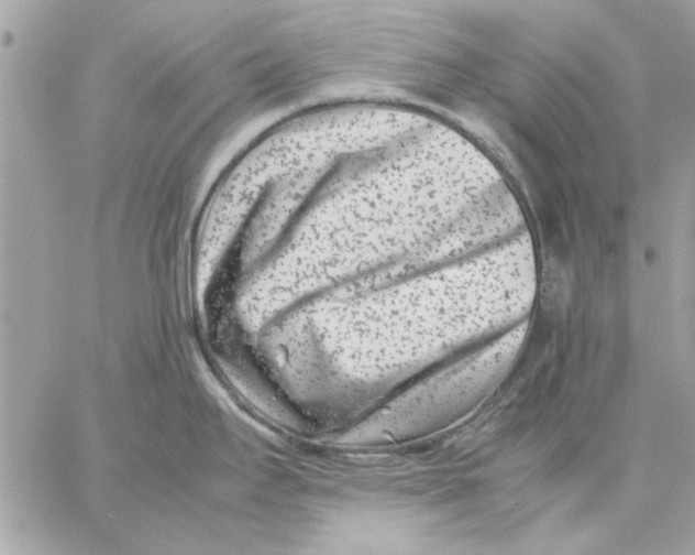 X0000057081295200510071835