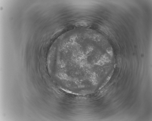 X0000057081297200510071835