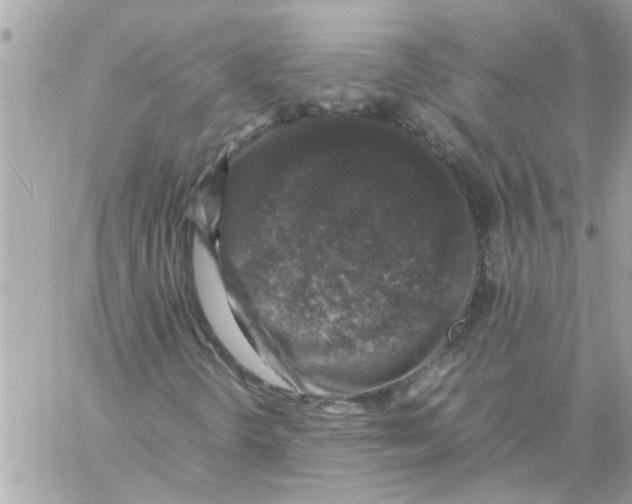 X0000057081298200510071835