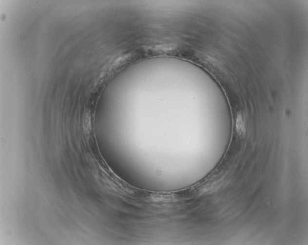 X0000057081299200510071835