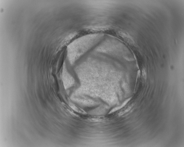 X0000057081300200510071835