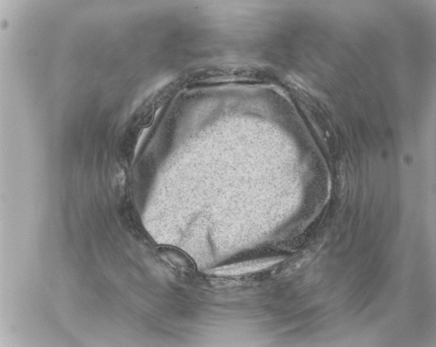 X0000057081302200510071835