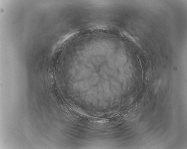 X0000057081303200510071835