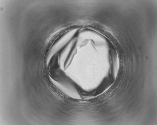 X0000057081304200510071835