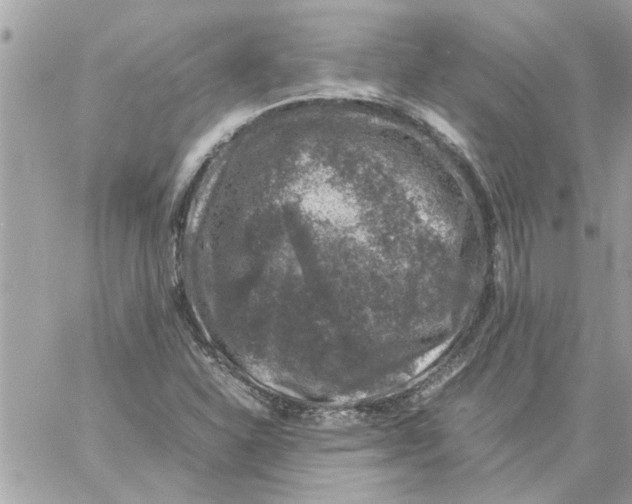 X0000057081310200510071835