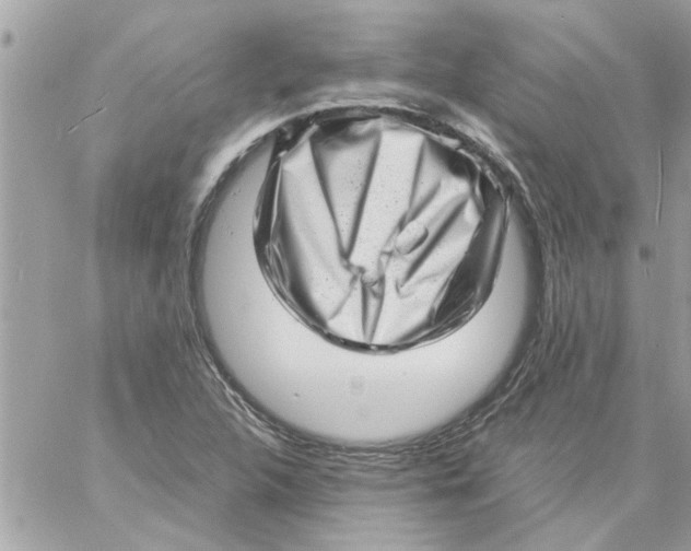 X0000057081312200510071835