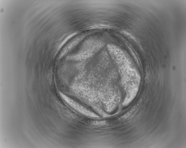 X0000057081313200510071835