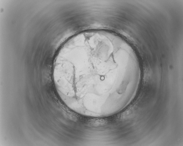 X0000057081314200510071835