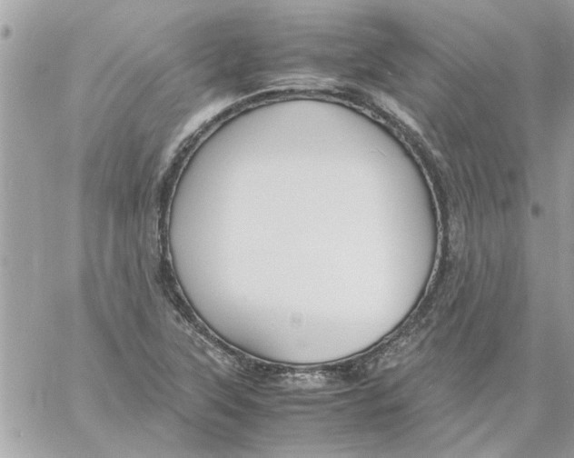 X0000057081315200510071835