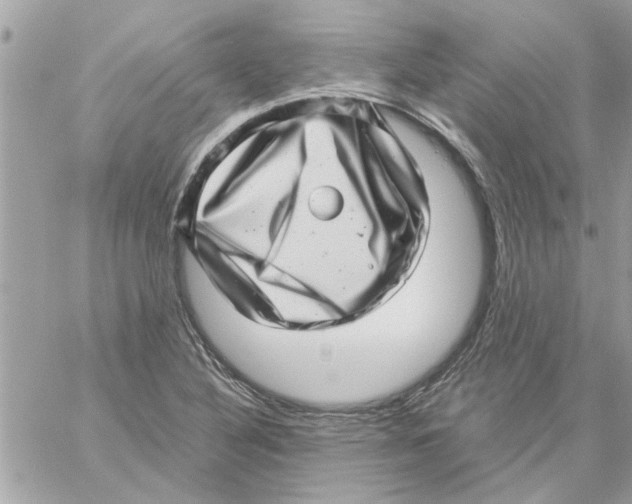 X0000057081316200510071835