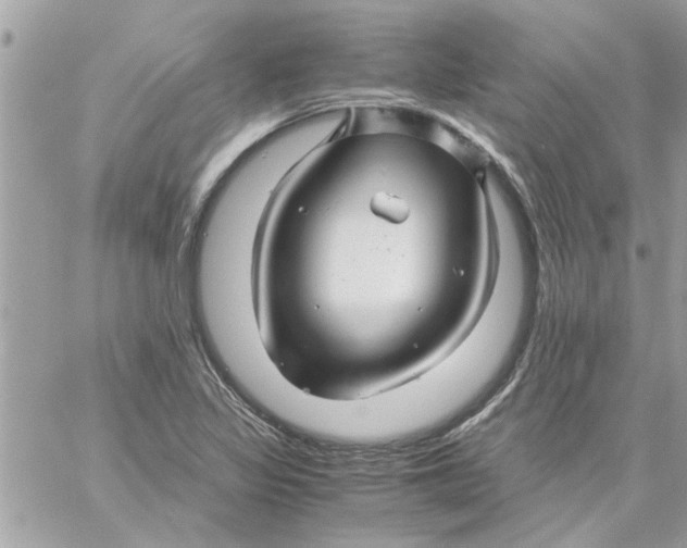 X0000057081317200510071835