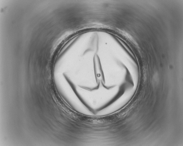 X0000057081318200510071835