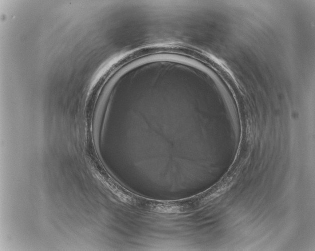 X0000057081319200510071835