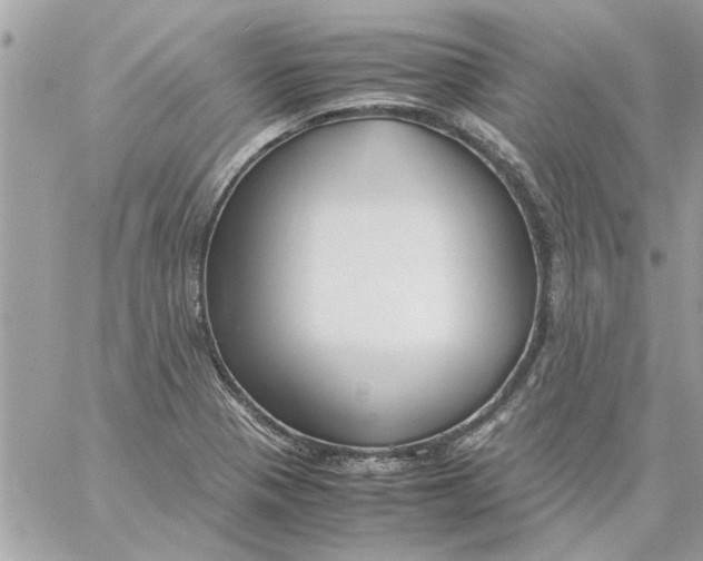 X0000057081321200510071835