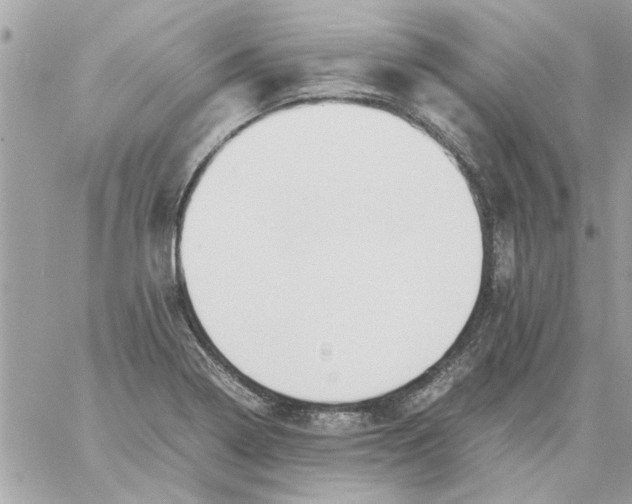 X0000057081322200510071835