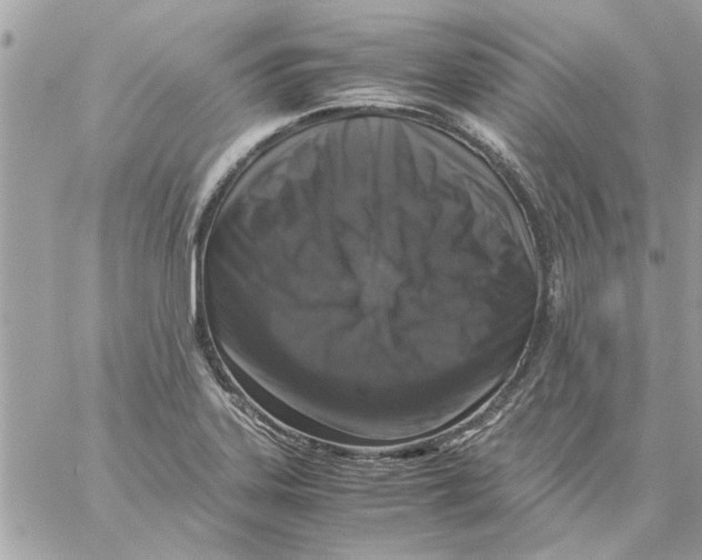 X0000057081323200510071835