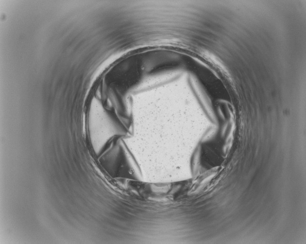 X0000057081324200510071835