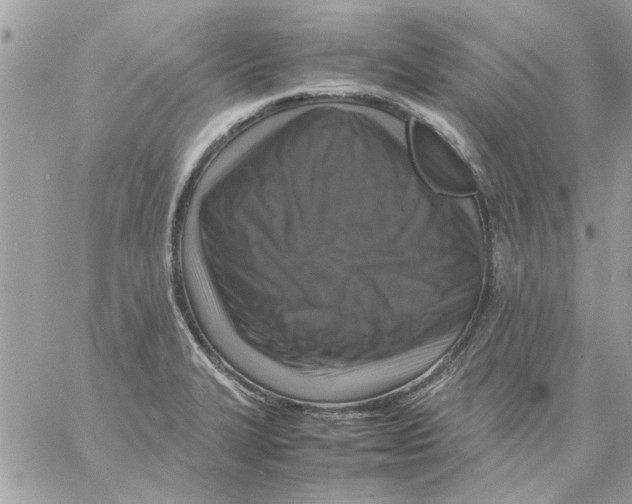 X0000057081327200510071835