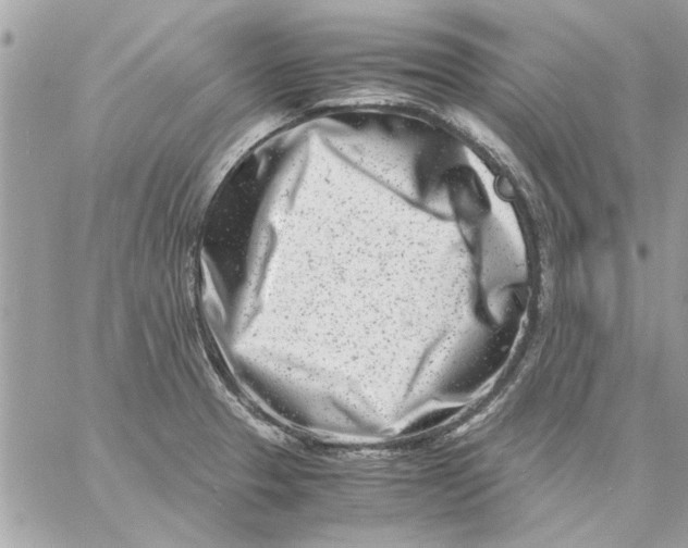 X0000057081329200510071835