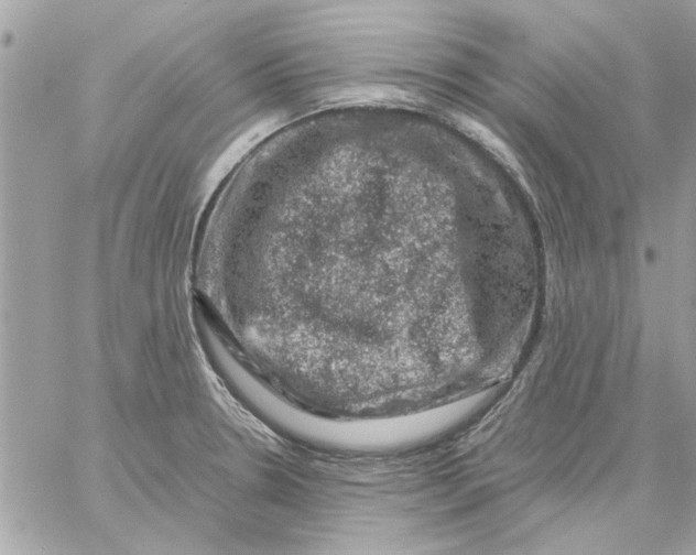 X0000057081330200510071835