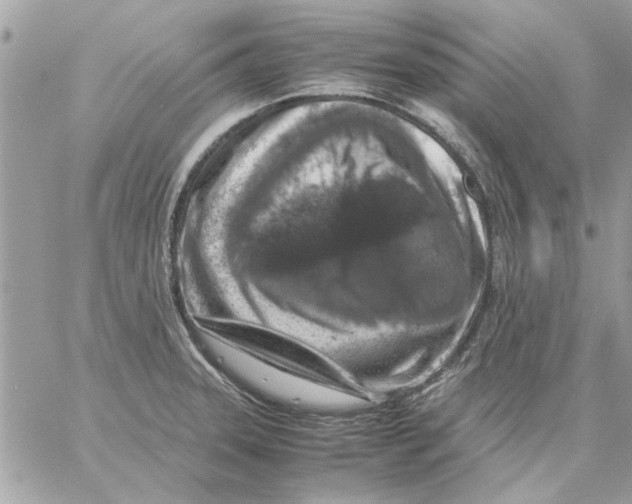 X0000057081331200510071835