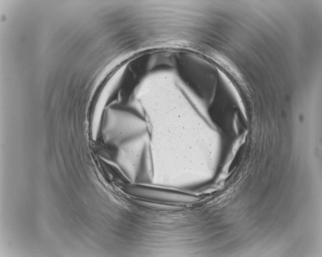 X0000057081332200510071835