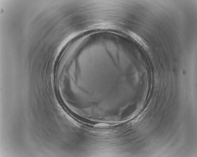 X0000057081334200510071835