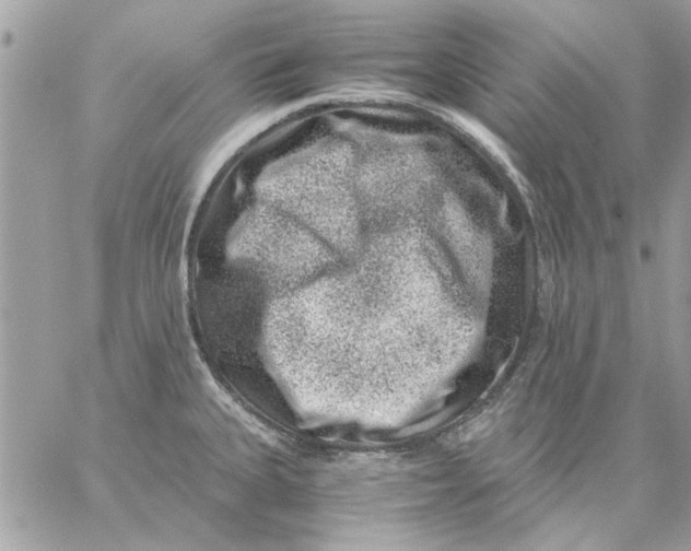 X0000057081335200510071835