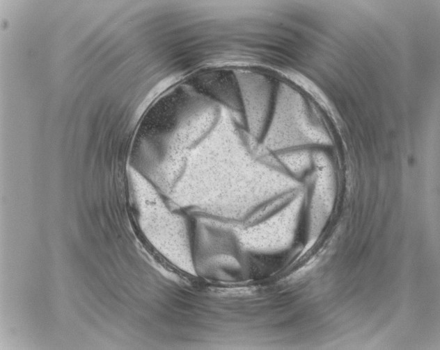 X0000057081337200510071835